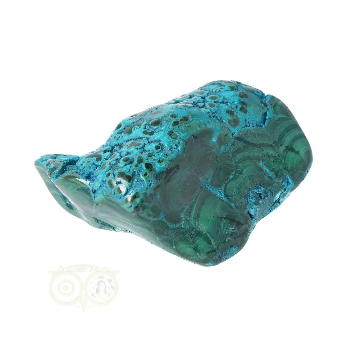 Malacholla free form Nr 6