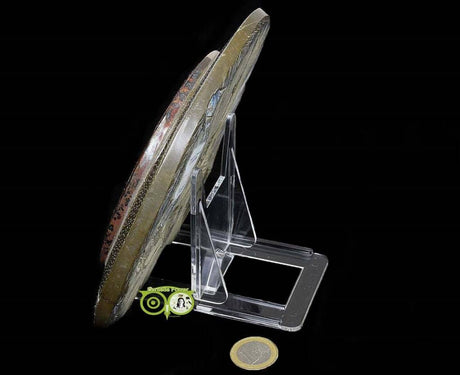 Mineral slide standard large