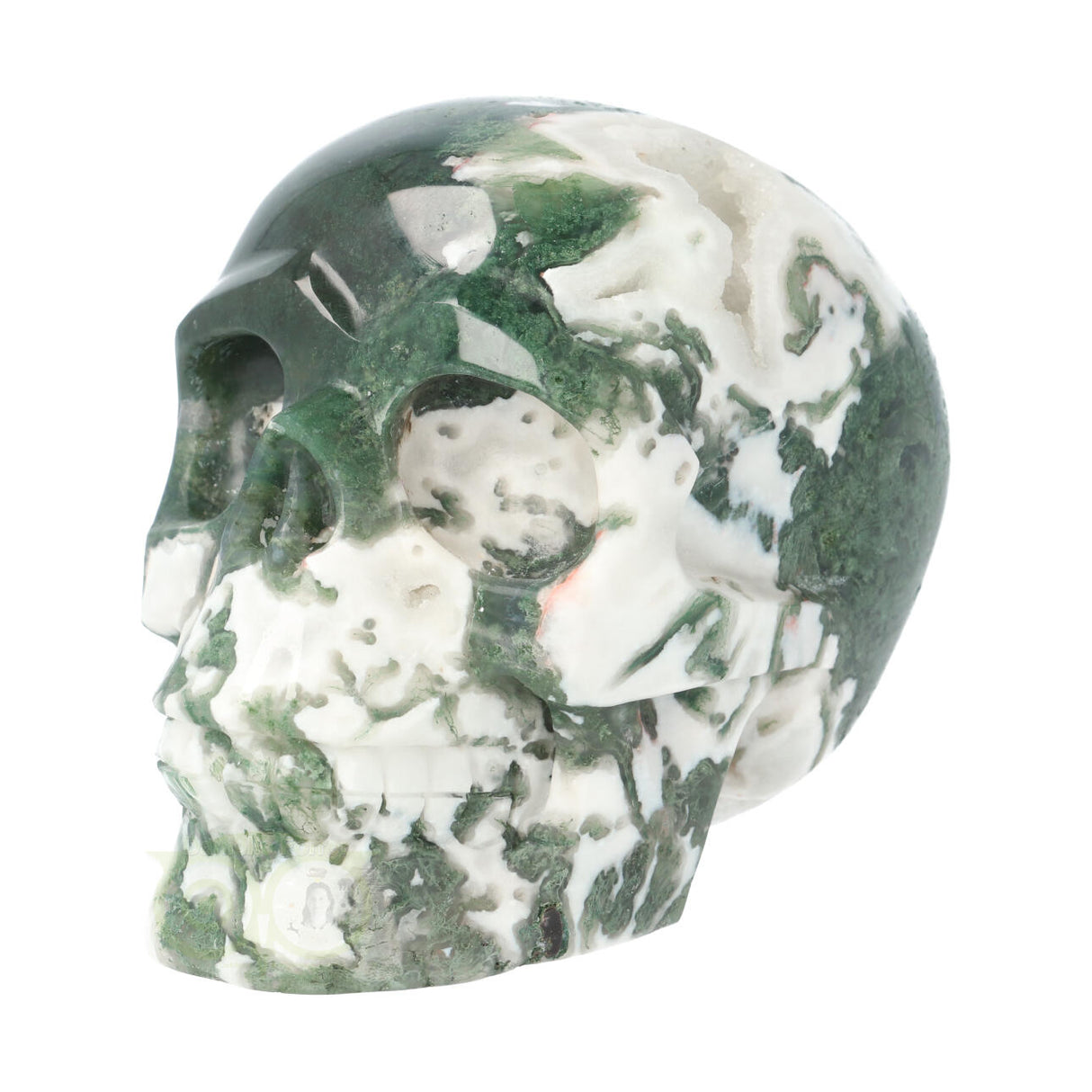 Mosagaat schedel 1029 gram