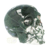 Mosagaat schedel 1029 gram