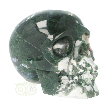 Moss agate skull 1029 grams