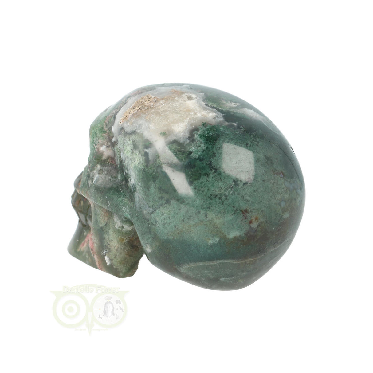 Mosagaat schedel 228 gram