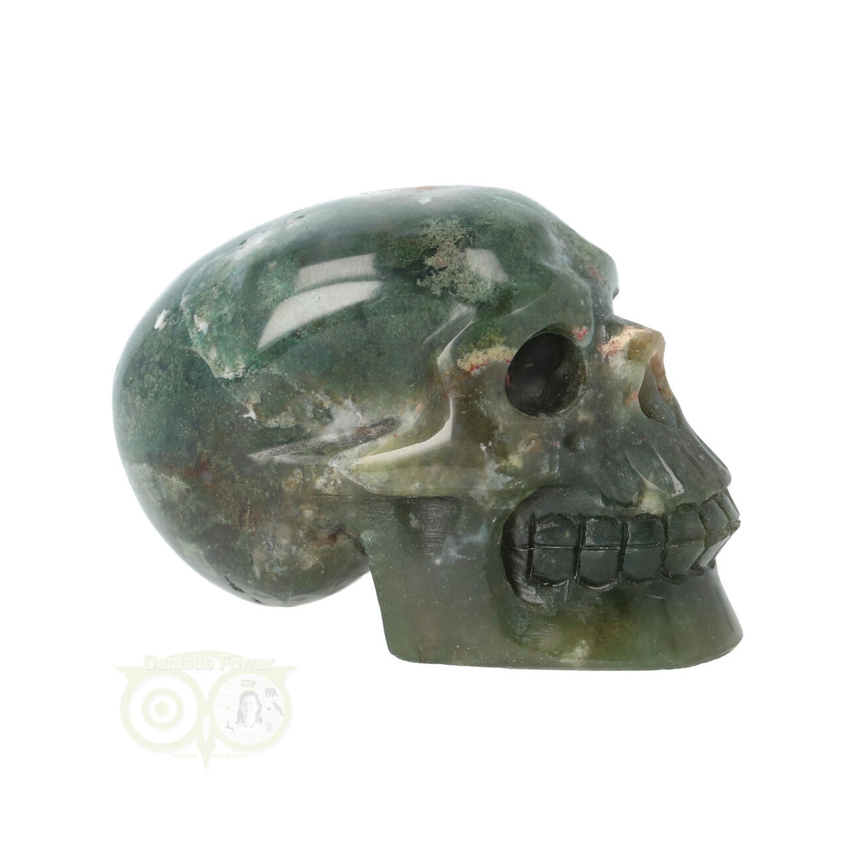 Mosagaat schedel 228 gram