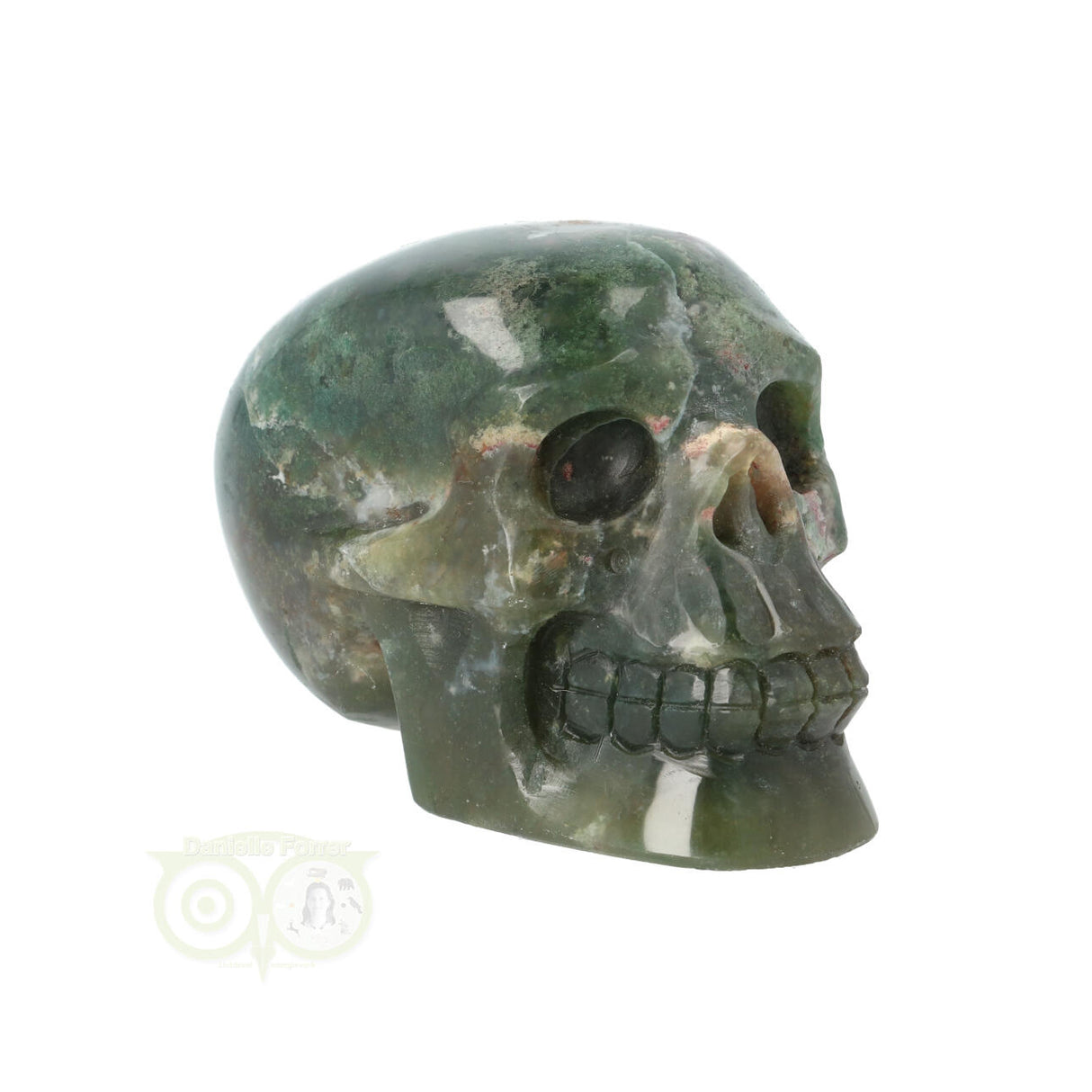 Mosagaat schedel 228 gram