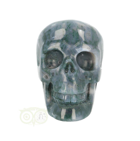 Mosagaat schedel 550 gram