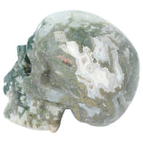 Mosagaat schedel 674 gram