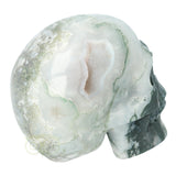 Mosagaat schedel 674 gram