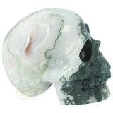 Mosagaat schedel 674 gram