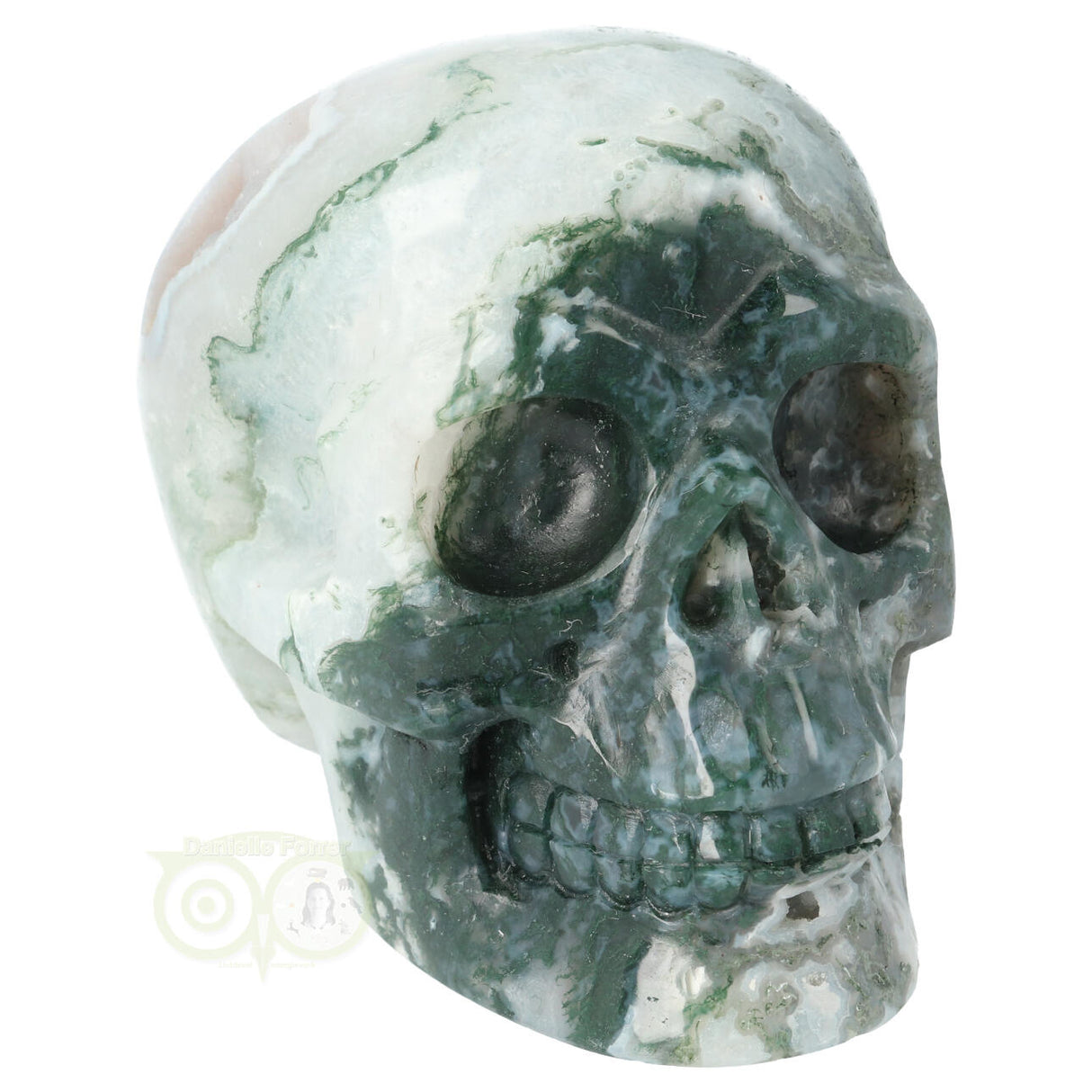 Mosagaat schedel 674 gram