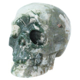 Mosagaat schedel 674 gram