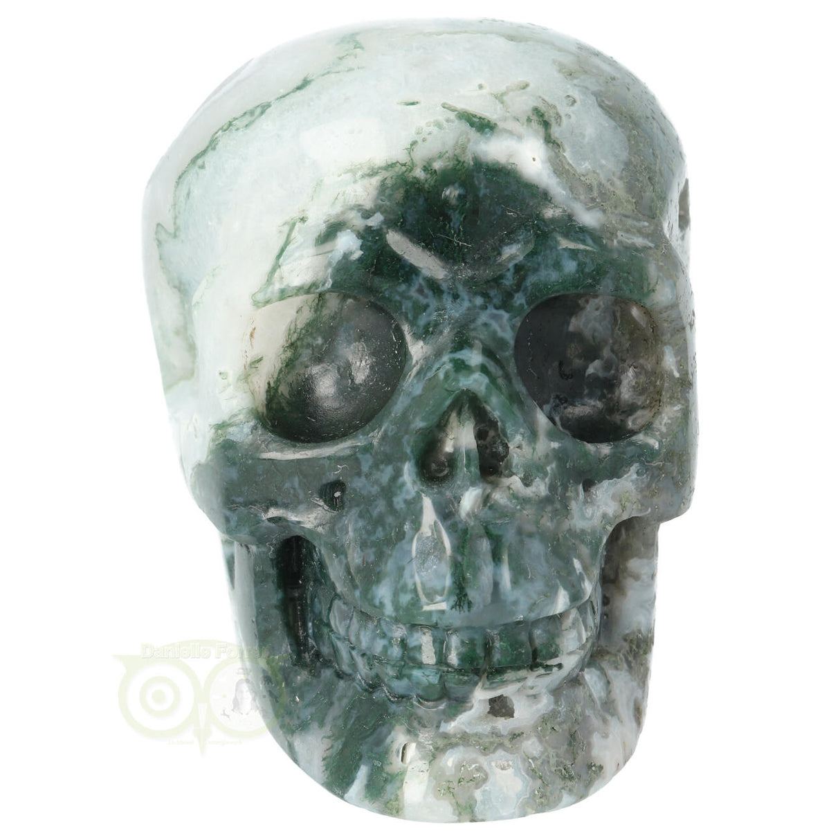 Mosagaat schedel 674 gram