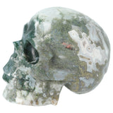 Mosagaat schedel 674 gram