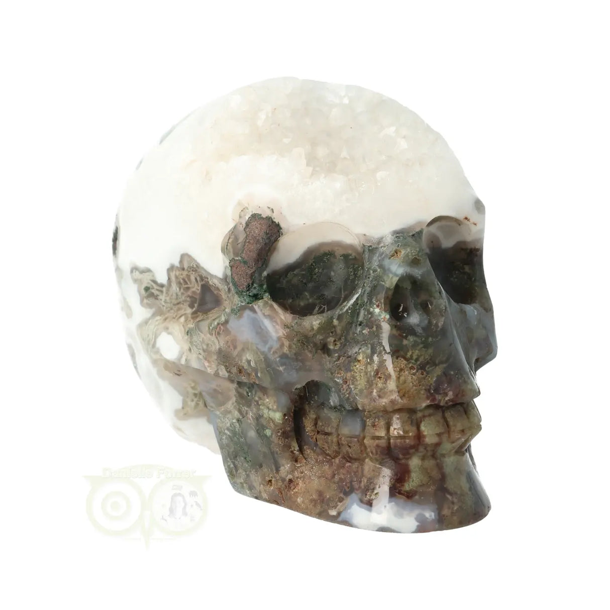 Moss agate - Rock crystal geode skull 637 grams
