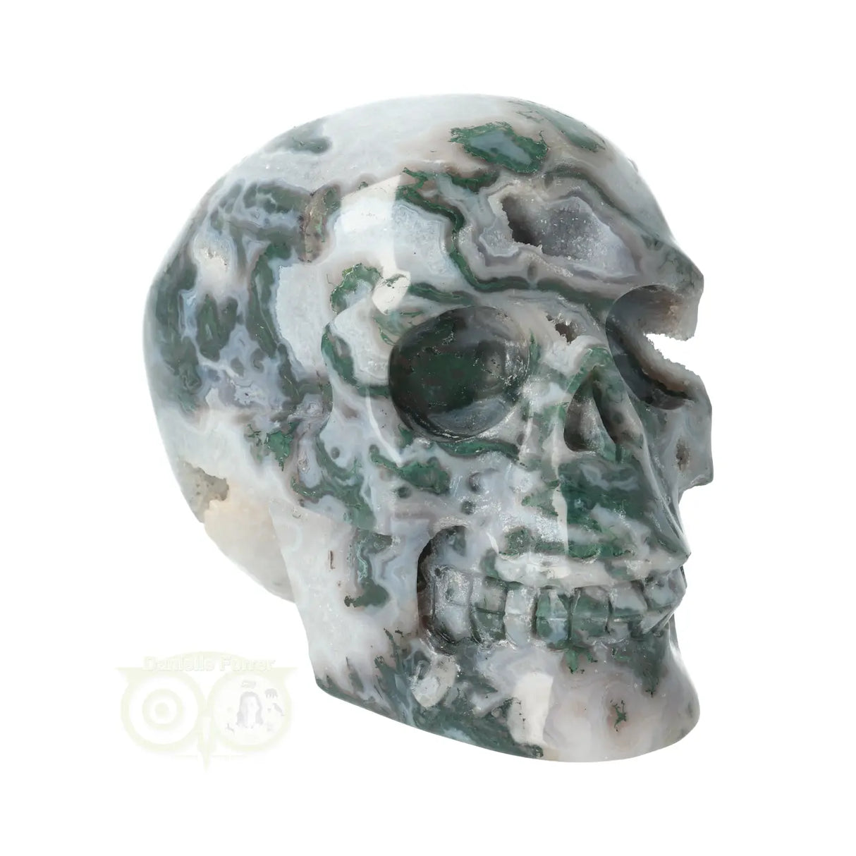 Mosagaat - Bergkristal geode schedel 966 gram