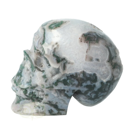 unieke mosagaat crystal skull 12 cm edelstenen schedel