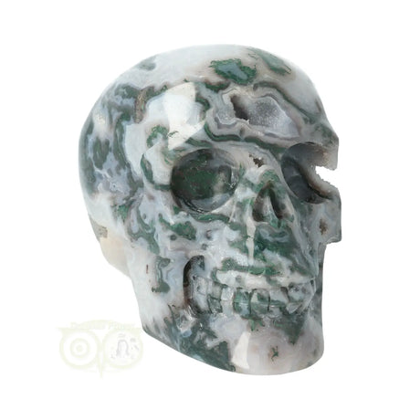 Mosagaat - Bergkristal geode schedel 966 gram
