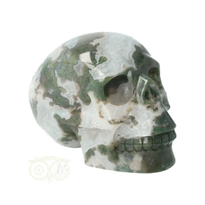 mosagaat bergkristal geode schedel 982 gram crystal skull