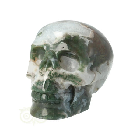 mosagaat crystal skull met geode en natuurlijke structuren