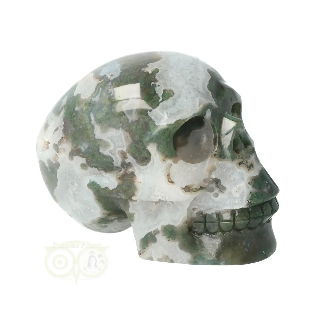 Mosagaat - Bergkristal geode schedel 982 gram