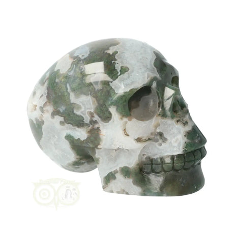 mosagaat crystal skull uniek exemplaar edelstenen webshop