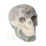 Mosagaat schedel 1,047 kilogram