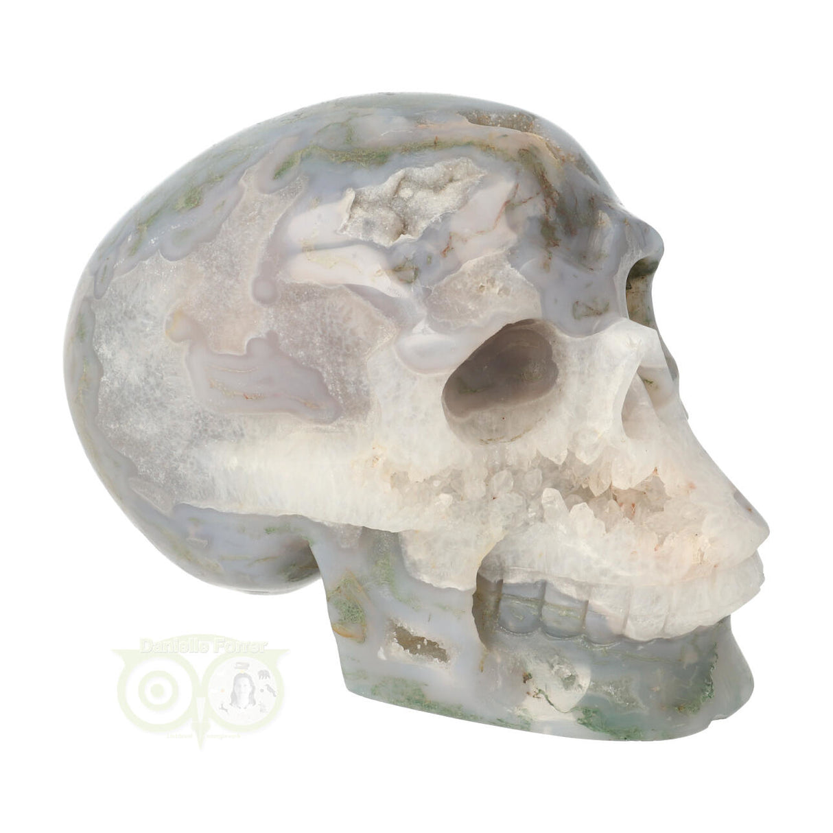 Mosagaat schedel 1,047 kilogram