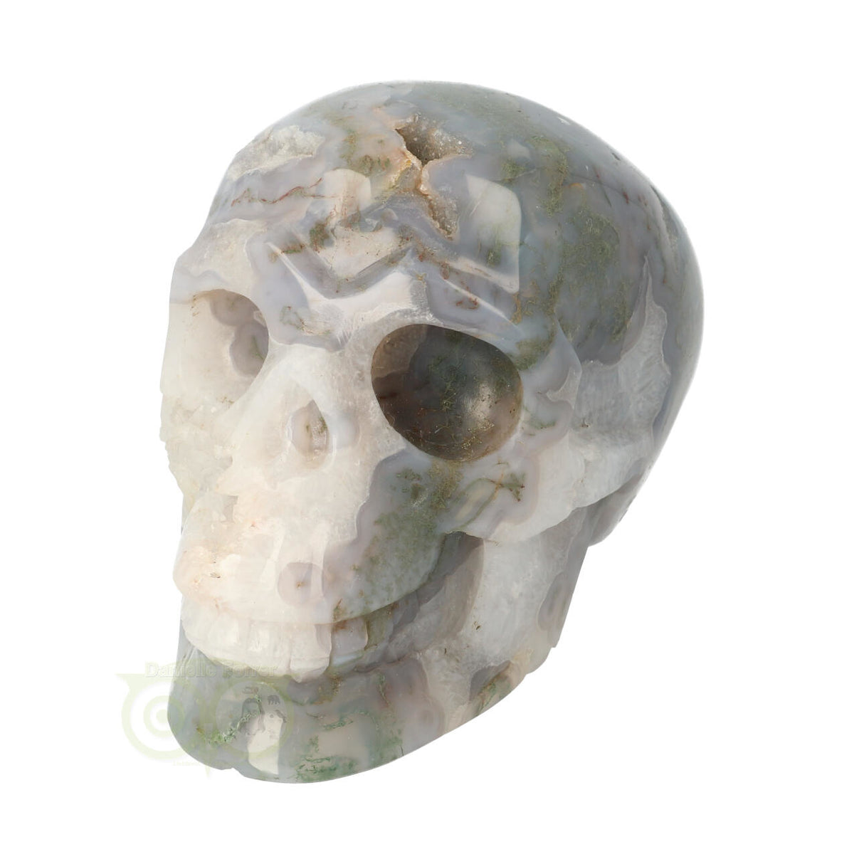 Mosagaat schedel 1,047 kilogram