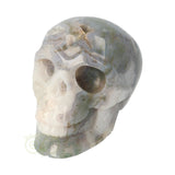 Mosagaat schedel 1,047 kilogram