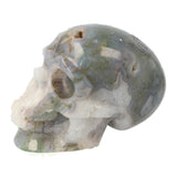 Mosagaat schedel 1,047 kilogram