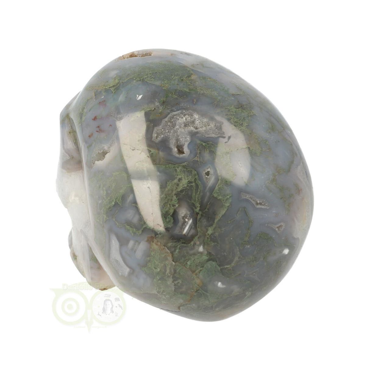 Mosagaat schedel 1,047 kilogram