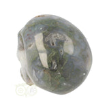 Mosagaat schedel 1,047 kilogram