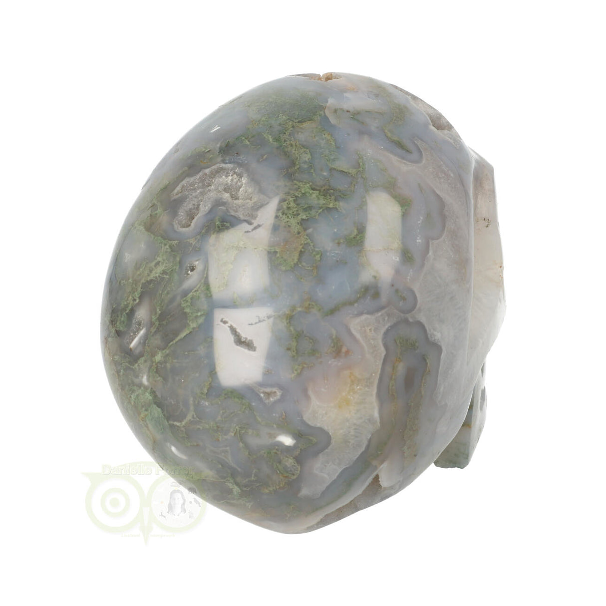 Mosagaat schedel 1,047 kilogram