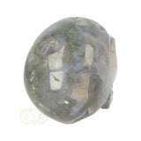 Mosagaat schedel 1,047 kilogram