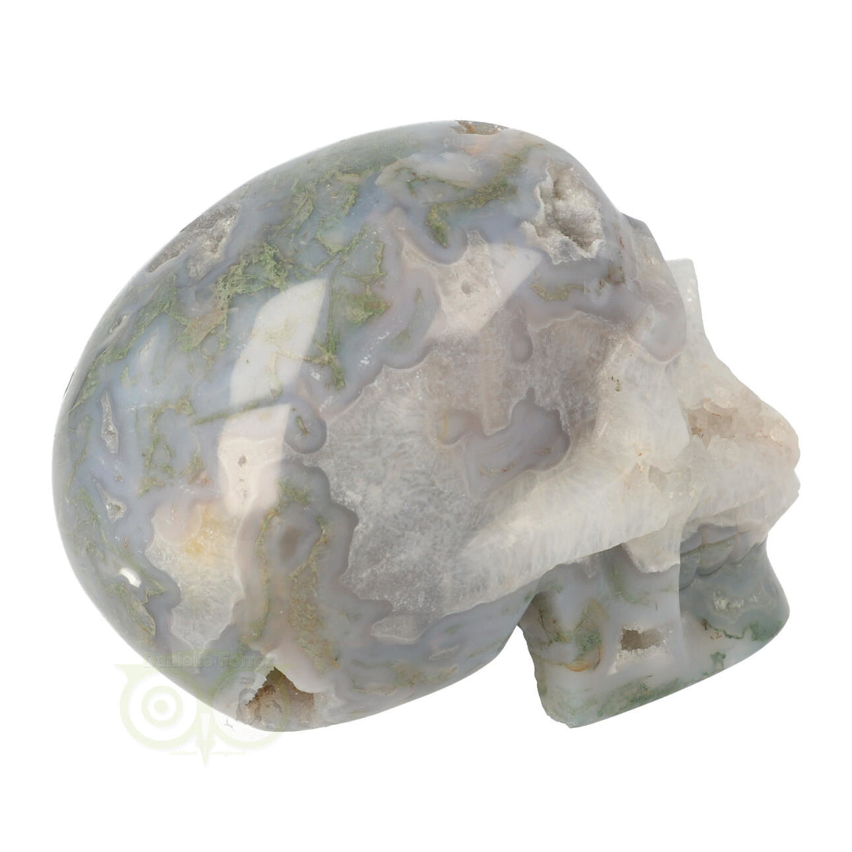 Mosagaat schedel 1,047 kilogram