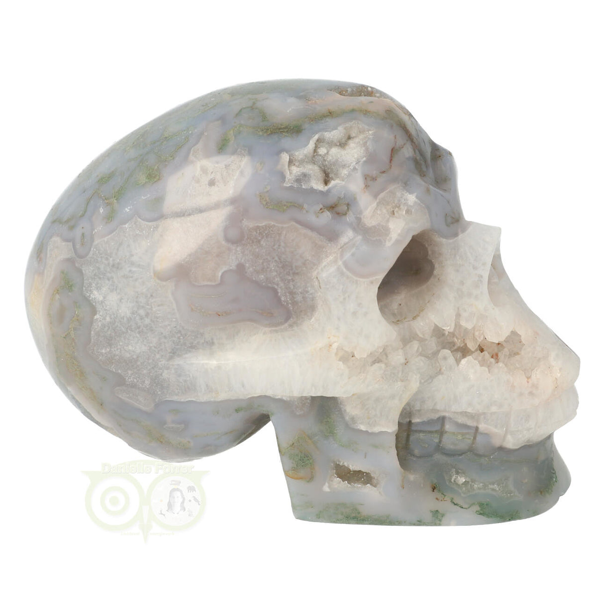 Mosagaat schedel 1,047 kilogram