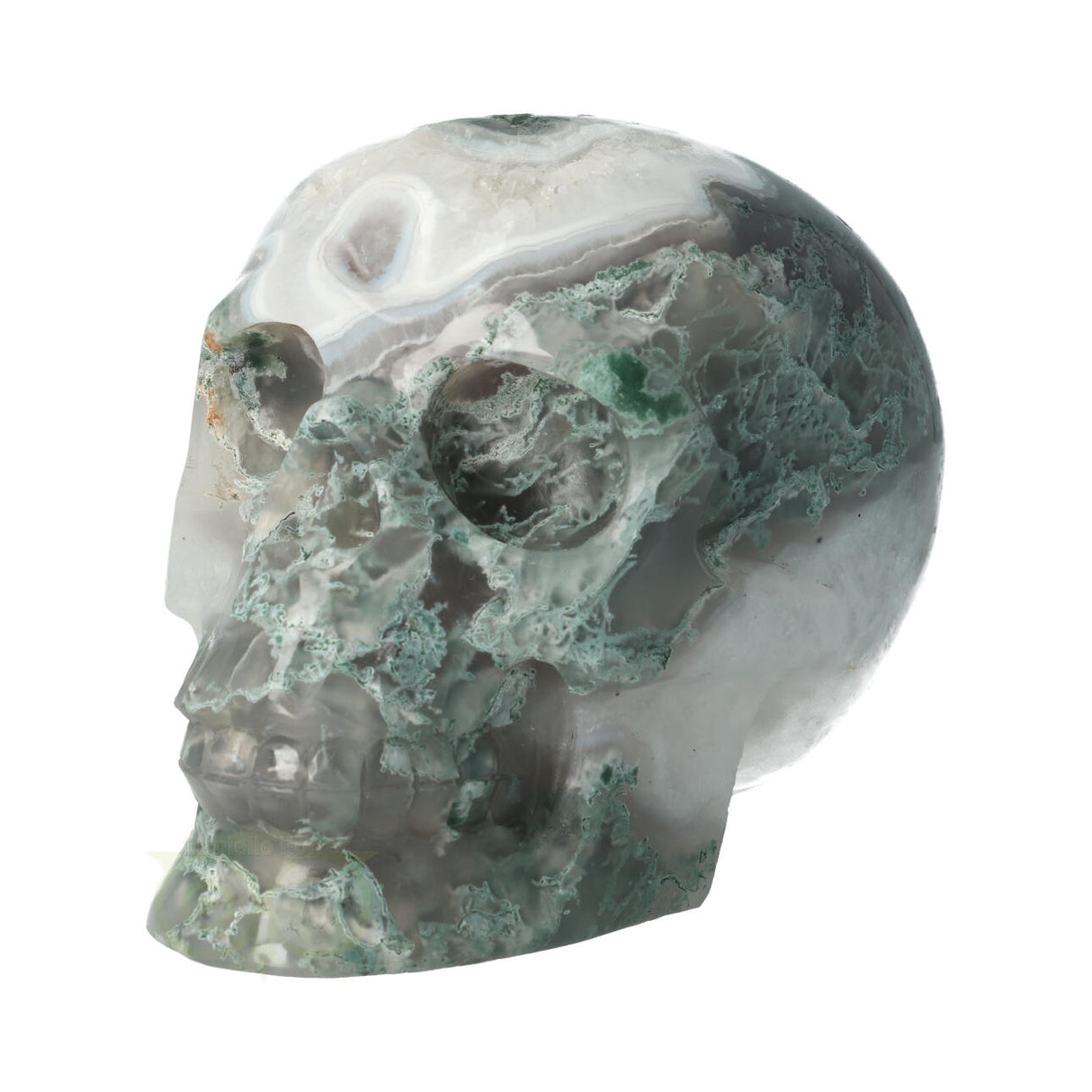 Mosagaat schedel 1050 gram