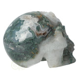 Mosagaat schedel 1050 gram