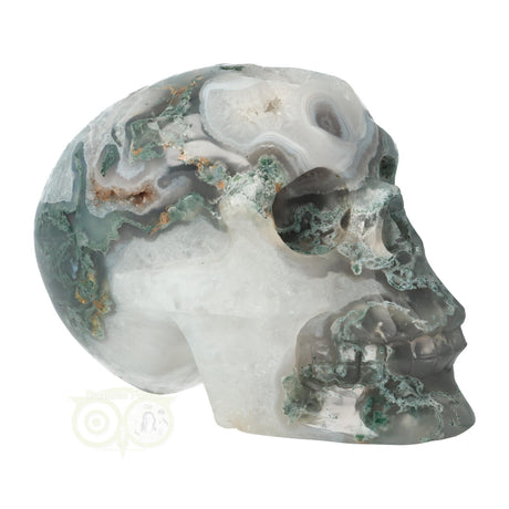 Moss agate skull 1050 grams