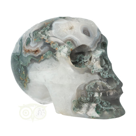 Moss agate skull 1050 grams