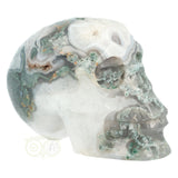 Mosagaat schedel 1050 gram