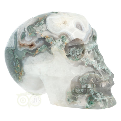 Moss agate skull 1050 grams