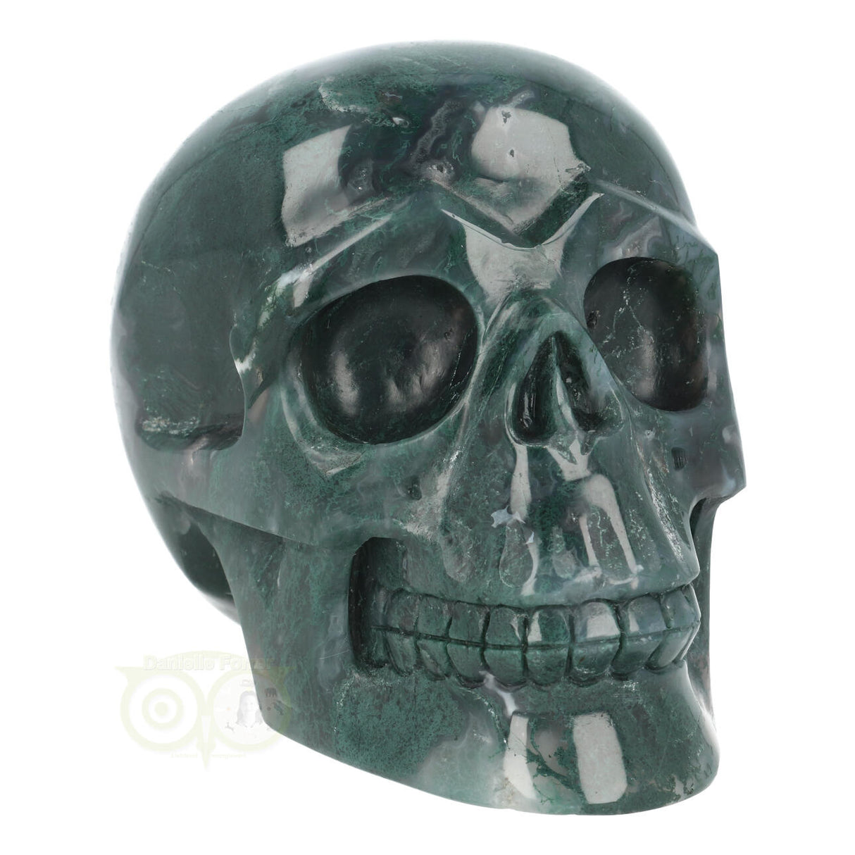 Mosagaat schedel 1337 gram