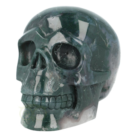 Moss agate skull 1337 grams