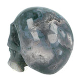 Mosagaat schedel 1337 gram