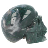 Mosagaat schedel 1337 gram