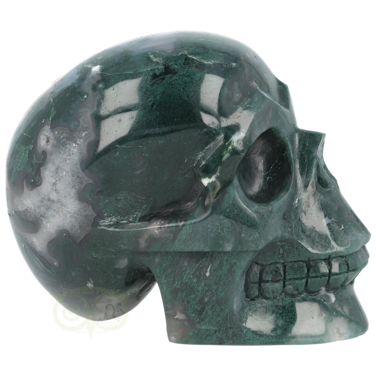 Mosagaat schedel 1337 gram