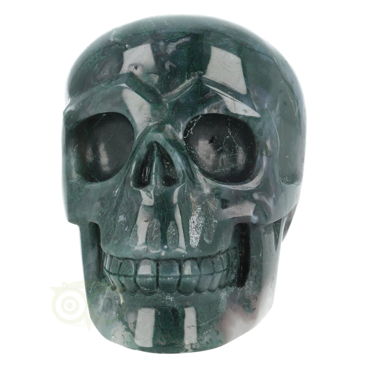 Mosagaat schedel 1337 gram