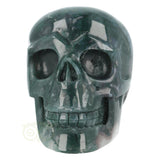 Mosagaat schedel 1337 gram