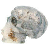 Mosagaat schedel 1.4 kg