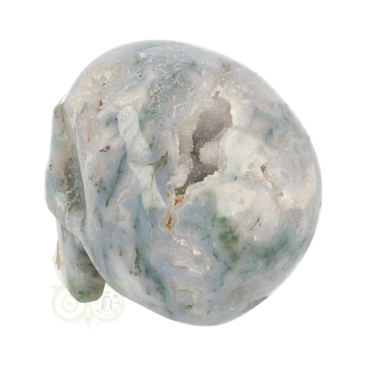 Mosagaat schedel 1.4 kg